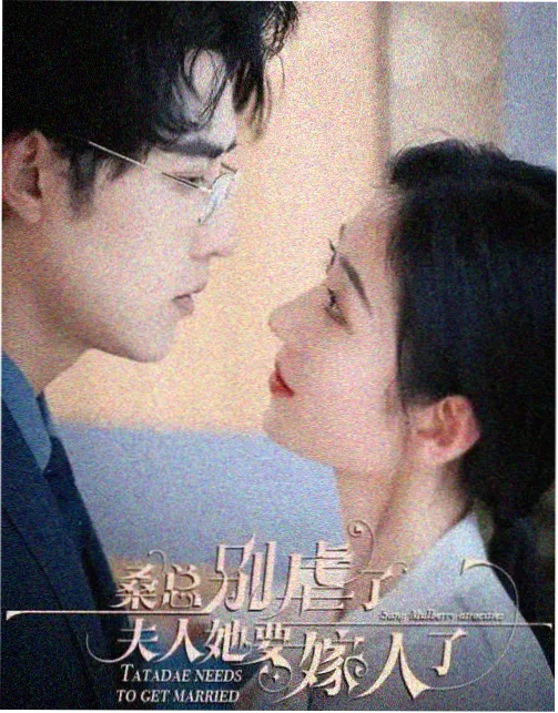 首席的退婚书 现代言情小说封面
