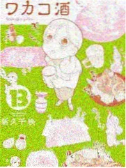 听风者手记 悬疑小说封面